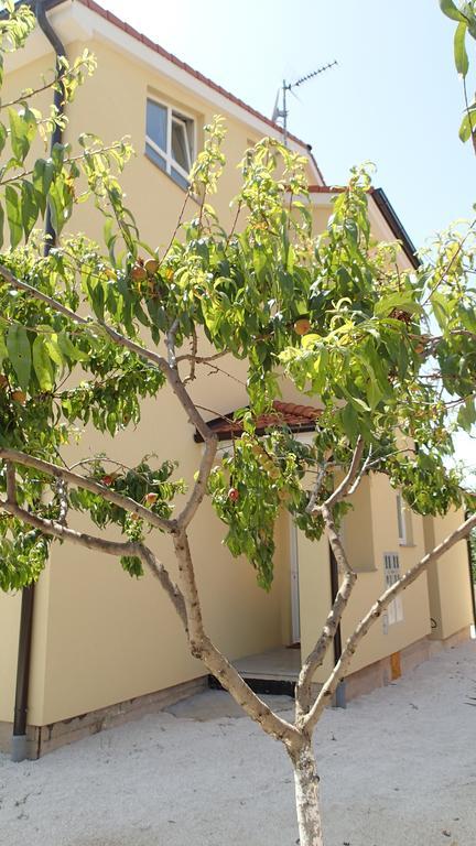 Apartment Una Pula Rum bild